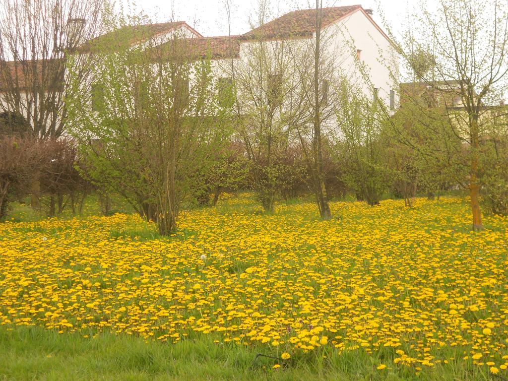 Villa Gaudio Ponte San Nicolò Exterior foto